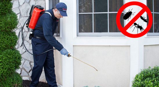 Feke Böcek İlaçlama böcek ilaçlama ve haşere kontrolü — ilaclama-tr.com